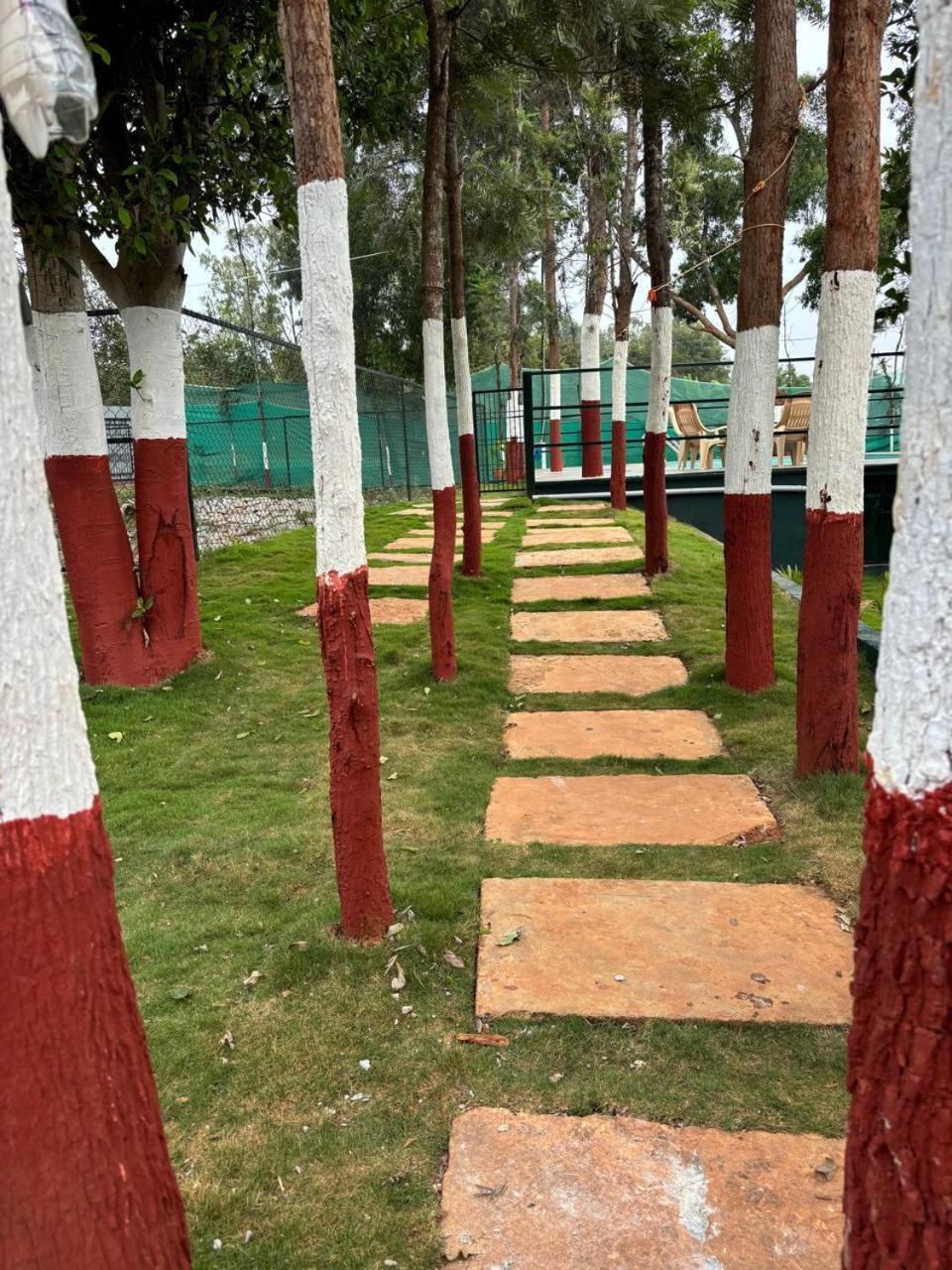 Bilwa Retreat Eco Stay & Sports Bangalore Eksteriør billede