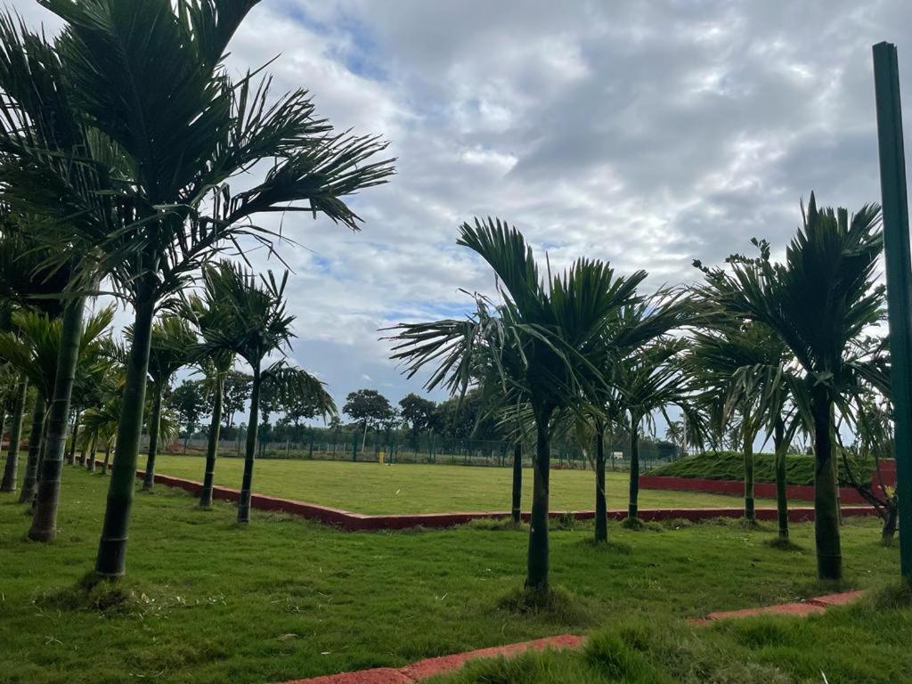 Bilwa Retreat Eco Stay & Sports Bangalore Eksteriør billede