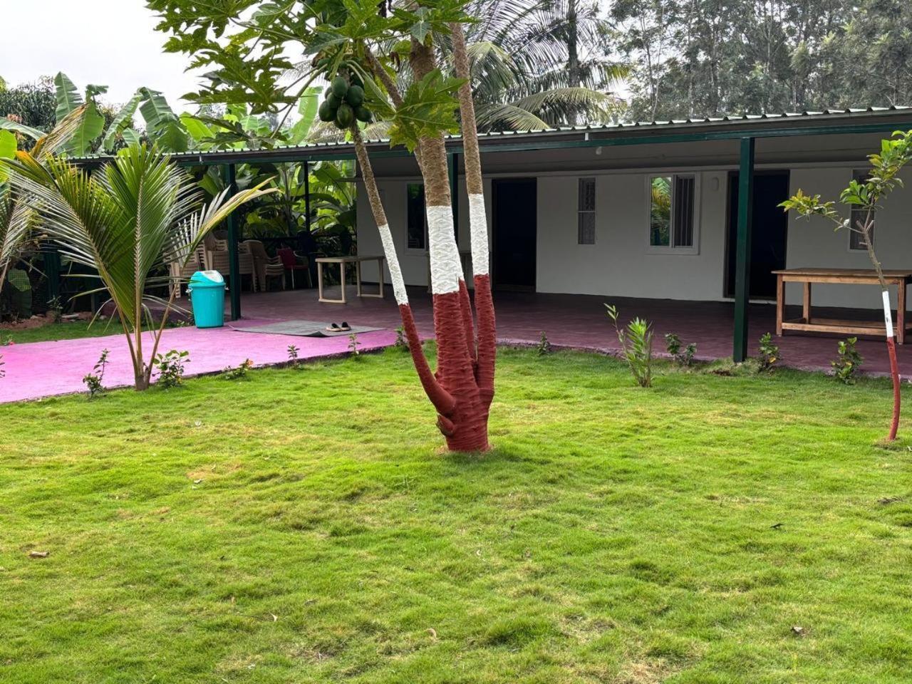 Bilwa Retreat Eco Stay & Sports Bangalore Eksteriør billede